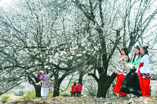 足球比赛直播平台 精彩赛事瞬间